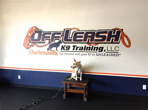 K9 off leash training. Things To Know About K9 off leash training. 